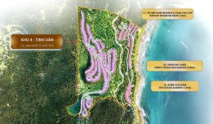 Mặt bằng phân khu Tinh Vân